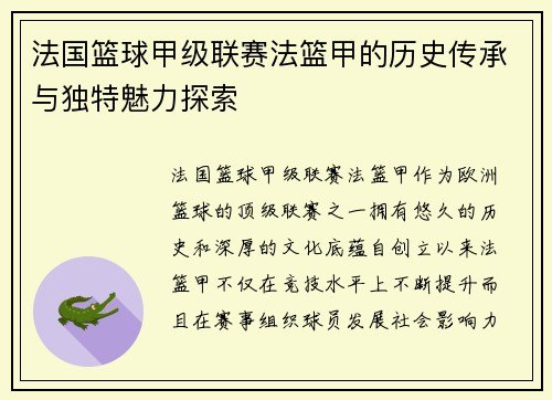 法国篮球甲级联赛法篮甲的历史传承与独特魅力探索