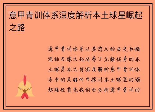 意甲青训体系深度解析本土球星崛起之路